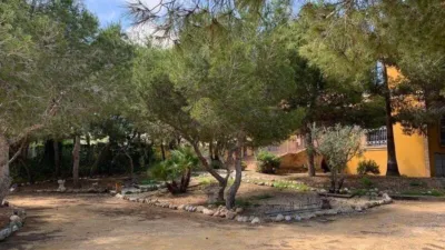 Villa in Guardamar del Segura photo 24