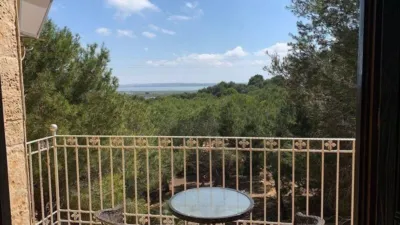 Villa in Guardamar del Segura photo 22