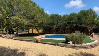 Villa in Guardamar del Segura photo 39