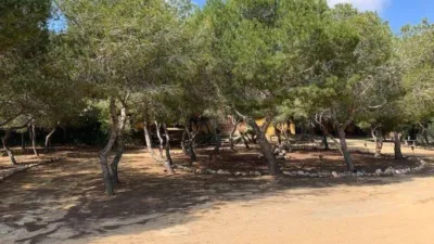 Villa in Guardamar del Segura photo 38