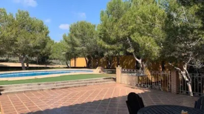 Villa in Guardamar del Segura photo 25