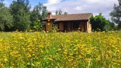 Rustic house on Calle Extrarradio No Number photo 3