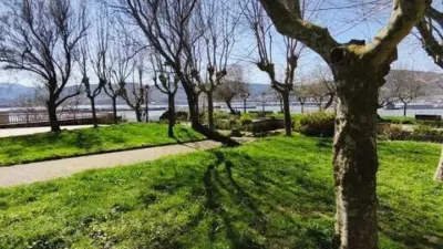 Apartment in Algorta photo 38