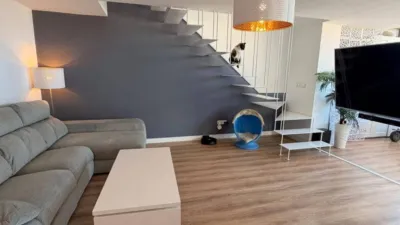 Apartment in University Area photo 12