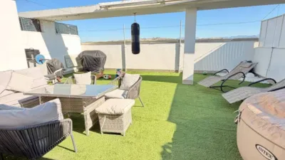 Pis – Elx - Elche - Vista 3