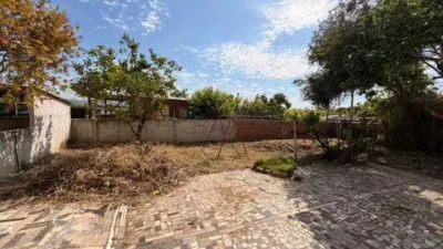 Rustic house in Zona Nord photo 22