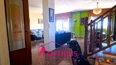 Apartment in Segorbe photo 12