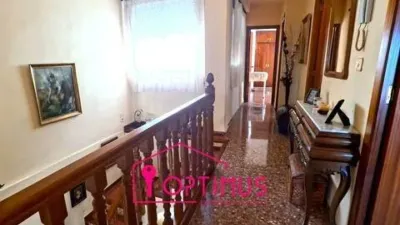 Apartment in Segorbe photo 42