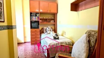 Apartment in Segorbe photo 33