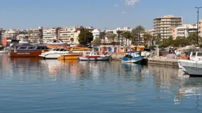 Apartment in Centre-Port-Platja Llevant photo 55