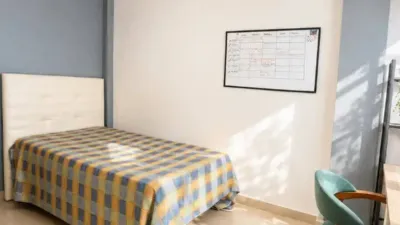 Apartment in Murcia Capital photo 12