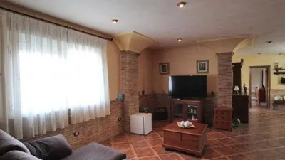 Chalet in Formentera del Segura photo 48