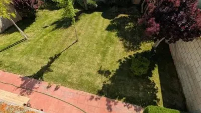 Casa – Chinchilla de Montearagón, La Felipa - Més
