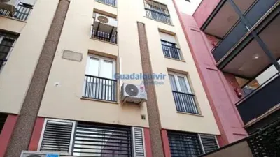 Apartment in Arenal photo 9