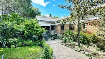 Chalet in Bonanza photo 2