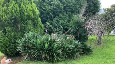 Chalet en venta en Parroquias - Más