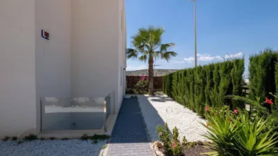Chalet in Algorfa photo 7