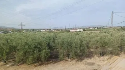 Rustic house in Camino de Enmedio photo 43