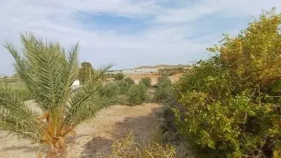 Rustic house in Camino de Enmedio photo 28