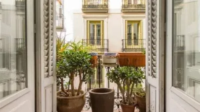 Apartment in Cortes-Huertas photo 15