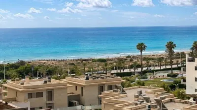 Apartment in Los Arenales del Sol photo 55
