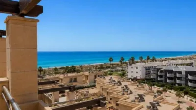 Apartment in Los Arenales del Sol photo 45