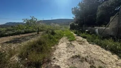 Terreno en venta en Calle Camino del Diputat No Number - Vista 3