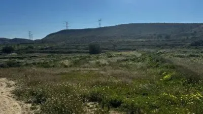 Terreno en venta en Calle Camino del Diputat No Number - Vista 5