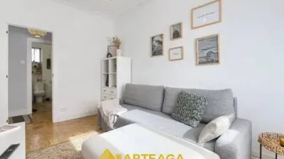 Apartment in Arteagabeitia-Retuerto-Kareaga photo 12