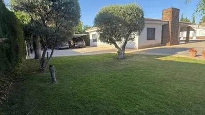 Casa – Albacete, Vereda - Vista 3