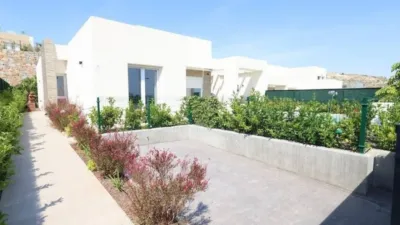 Villa in Algorfa photo 19
