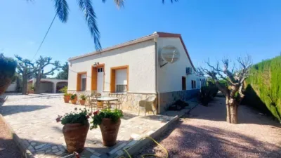 Pis – Elx / Elche, Regs del Porvenir, la Marina - Vista 5