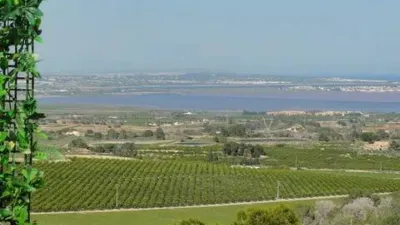 Piso – San Miguel de Salinas - Más