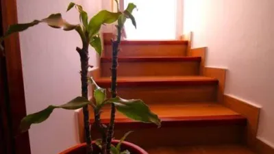 Apartment on Carrer de les Modistes photo 16