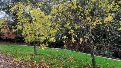 Rustic property in Galaroza photo 56