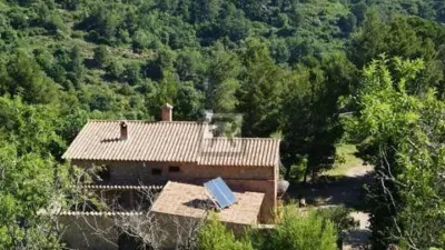 Rustic house on Calle Pd Mas de Joan Nas No Number photo 7