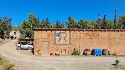 Rustic house on Calle Pd Mas de Joan Nas No Number photo 36