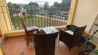 Top-floor apartment on Calle de los Dolores photo 13