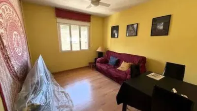 Apartment in San Roque-La Concordia photo 6