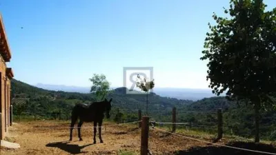 Rustic house on Calle Pd Mas de Joan Nas No Number photo 34