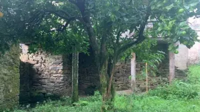 Rustic house in San Ramón photo 38