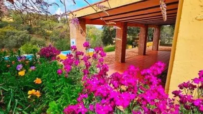 Rustic house in Cortegana photo 6