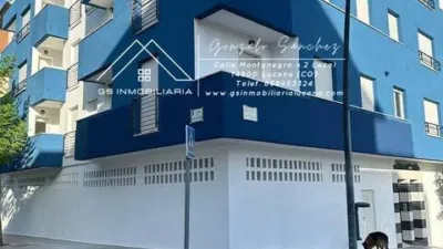 Apartment in Lucena photo 13