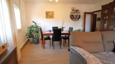 Apartment on Carrer de les Modistes photo 4