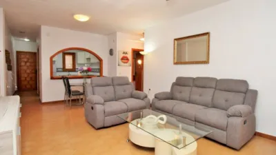 Pis – Orihuela - Vista 4