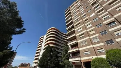 Apartment in San Roque-La Concordia photo 5