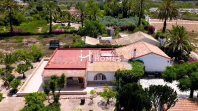Pis – Elx / Elche, Regs del Porvenir, la Marina - Vista 3