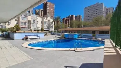 Flat in Platja de Llevant photo 36