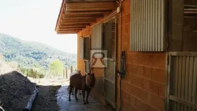 Rustic house on Calle Pd Mas de Joan Nas No Number photo 45