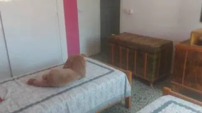 Chalet in Sant Antoni photo 22